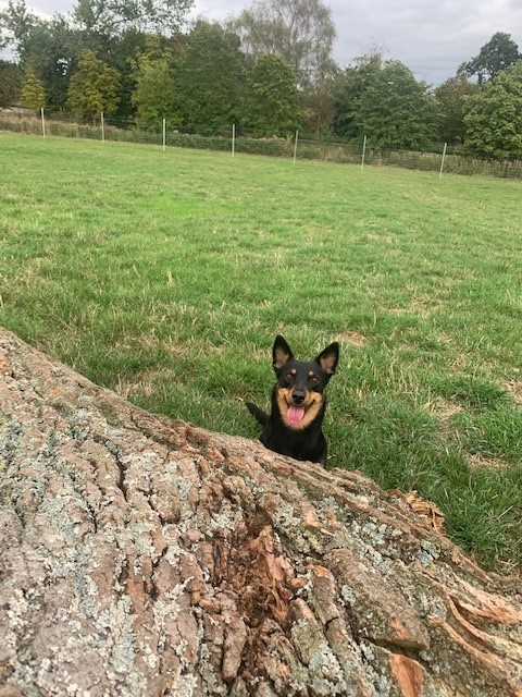 2138 eedf2eb4aecbbdbea4490484f6e69223 1