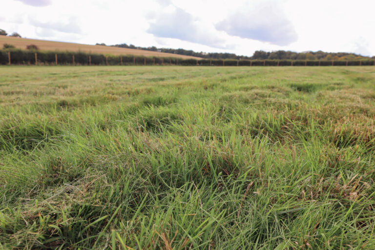 2139 525de31b12a75c99be1b753f3a0602bc 1 768x512