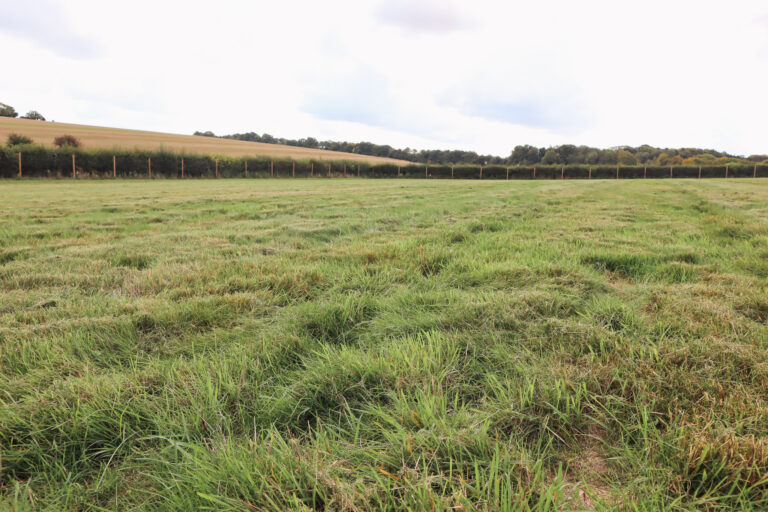 2139 5598059fd9d1f3bdeec33d6ae6ebf936 1 768x512