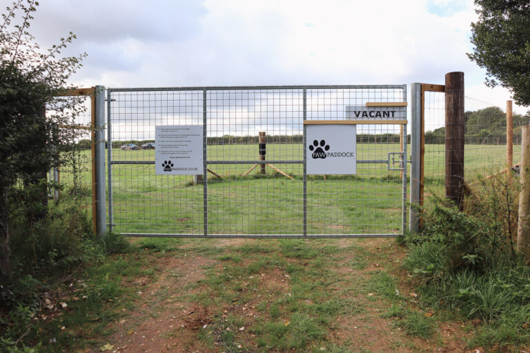 2139 89fd0aa34a386f58f22dc64753240294 1 768x512