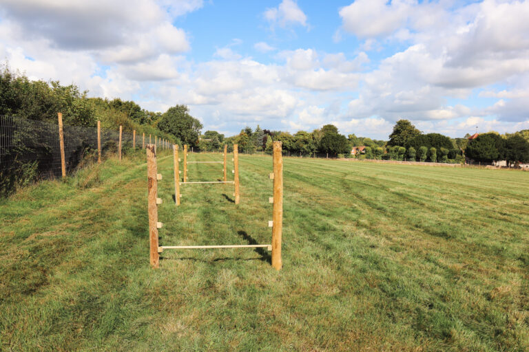 2139 8ae53540a343efe11e07dfaaedd3a3eb 1 768x512