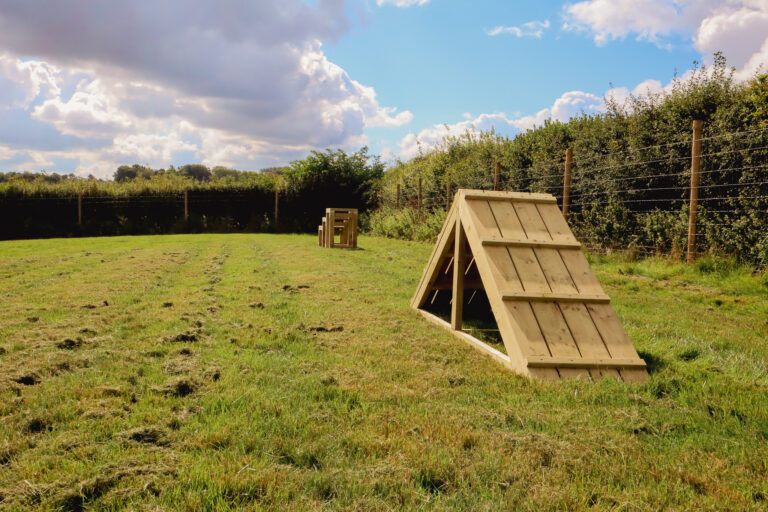 2139 9c9680fd7db4e0cf595a5f94edd235f1 1 768x512