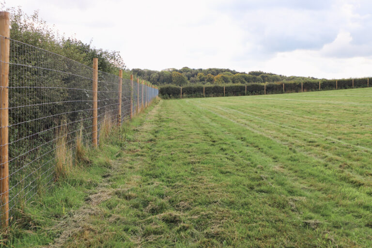 2139 e55c1d4bbfa63c366f897c97fc50b08e 1 768x512