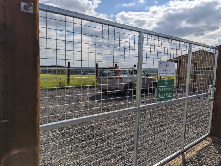 2141 959bbecc6997575deb99d52a33f3772d 1 768x576