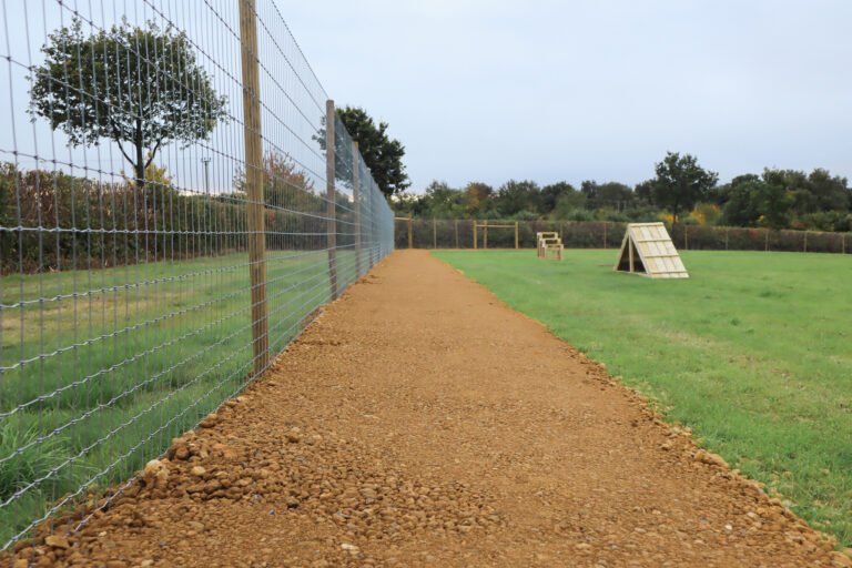 2143 03fef819ba41a1c648925ca7c4e6a69e 1 768x512