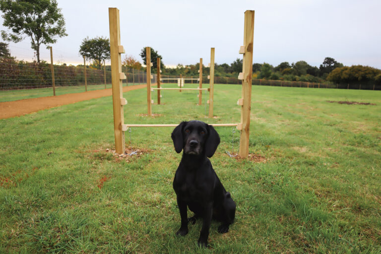 2143 3e801afe54011699bff878b7f4b19a49 1 768x512