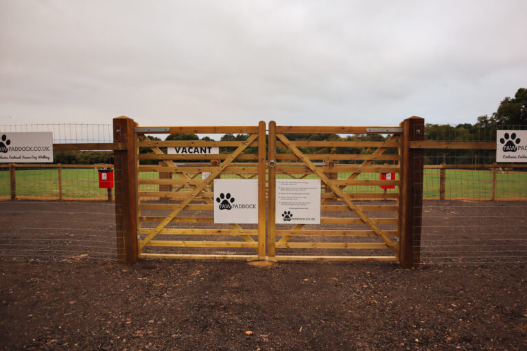 2143 54231675190a3cf403c9f37a07c21189 1 768x512