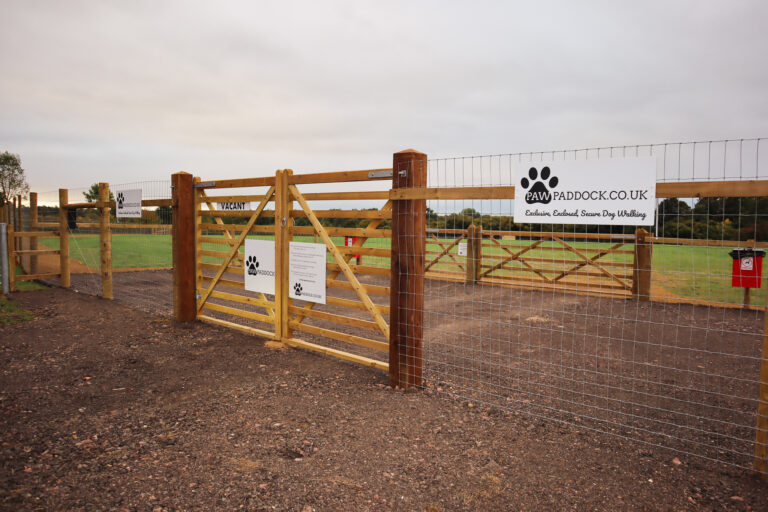 2143 5ce952c3aaedbed30e168840089f2312 1 768x512