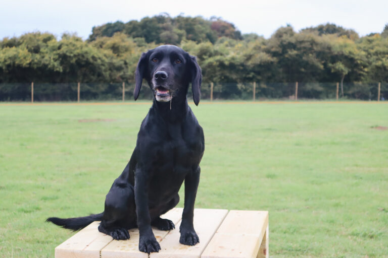 2143 75325c9b914efa074e9b1fc33eb0ef57 1 768x512