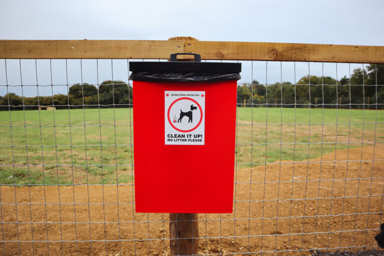 2143 82f784cbecb4ed94167879014bf72390 1 768x512