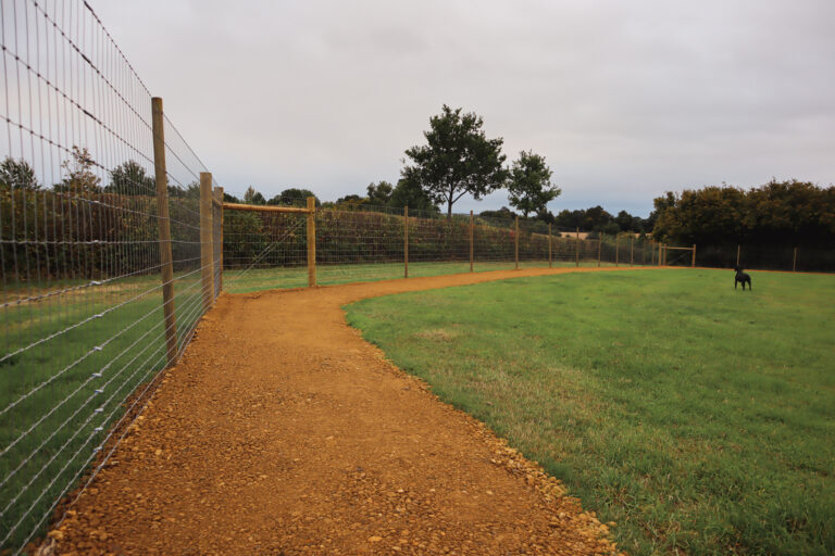 2143 8d04e23d0c895aae21c171534f691572 1 768x512