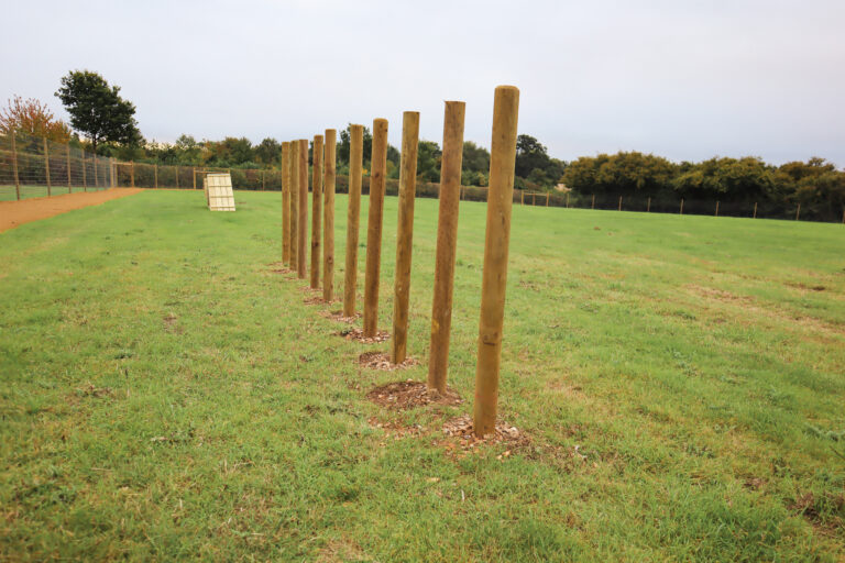 2143 ae64174f29b72d7a9cd2c3c4188a7e91 1 768x512