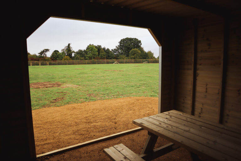 2143 e3ca2204023c98be7e63b75b390a5d5c 1 768x512