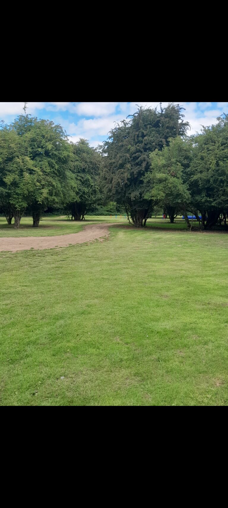 2144 c515e366c6b46dc797d79c3542e55440 1 768x1712