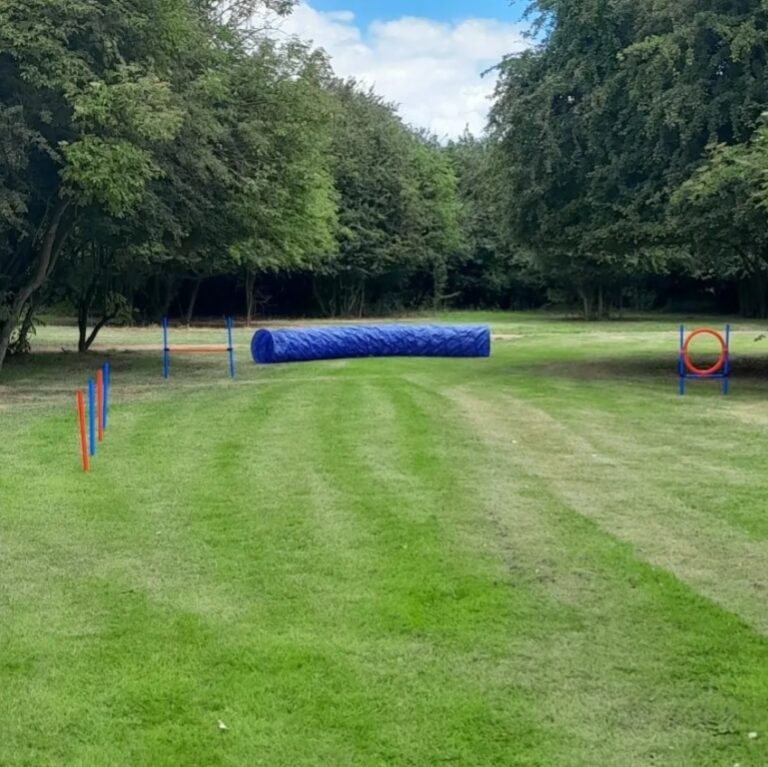 2144 d5329e7a70d4e089dfb7bf6cd28799d2 1 768x767