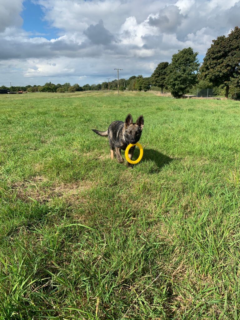 2145 01eccfe92e59c1ea918e29f5fa155f28 1 768x1024