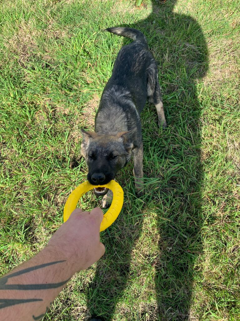 2145 0cceaa92b5fac9f3a47dbad39c4ca4ee 1 768x1024