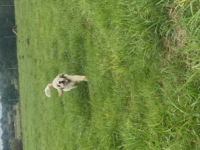 2145 10d5f874c66eafd2fde696b859c9e1a0 1