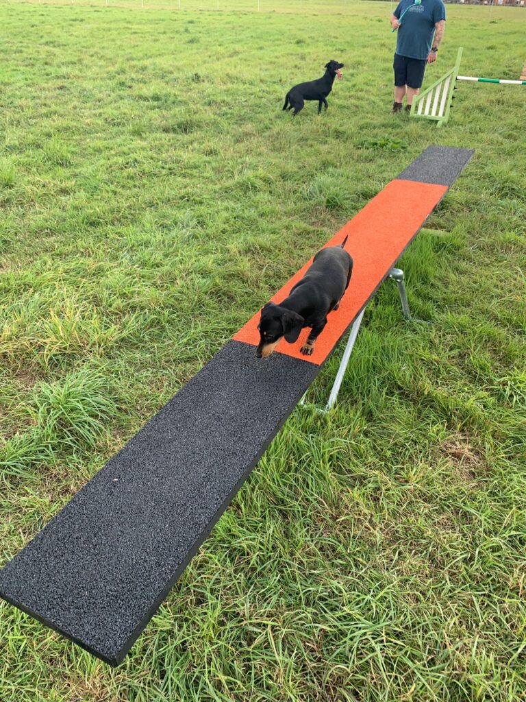 2145 211a4648818f0ab8246668b412ff4c6e 1 768x1024