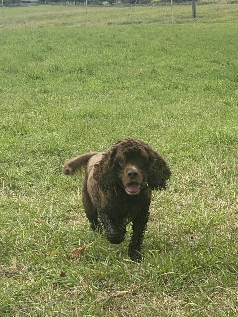 2145 224eece3669485ceceb3abb18a634e76 1 768x1024