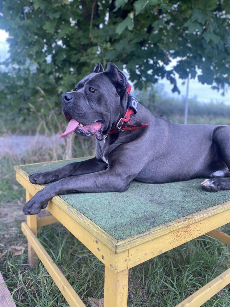 2145 3f4e3119b53e0c4a2c66162feadb9381 1 768x1024