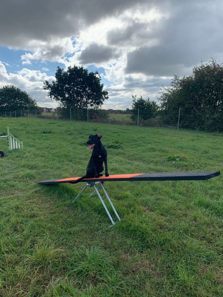 2145 8904a3605941fd3e9c43600179cb5efb 1 768x1024