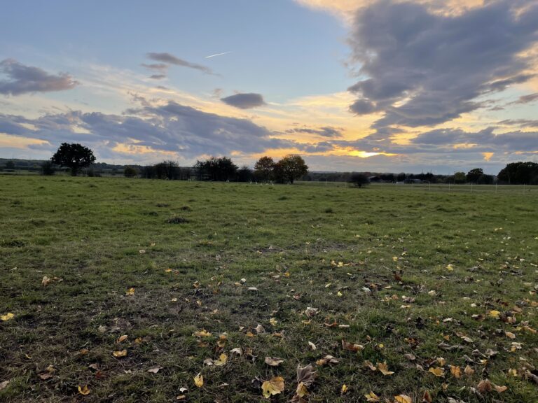 2145 9761a7586b3bb64d9ecb4643fe0e619a 1 768x576