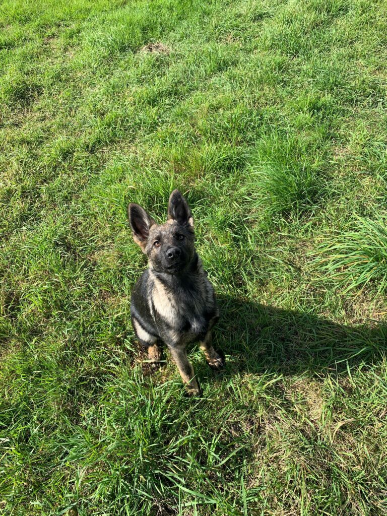 2145 a24159de9da0189e512a96fcf3c6a79f 1 768x1024