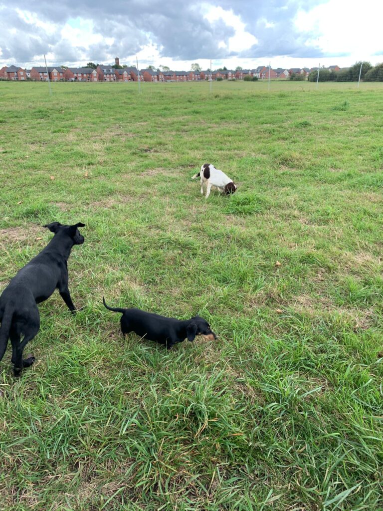 2145 a3f446fc63302a00b02cbac9a00091bf 1 768x1024