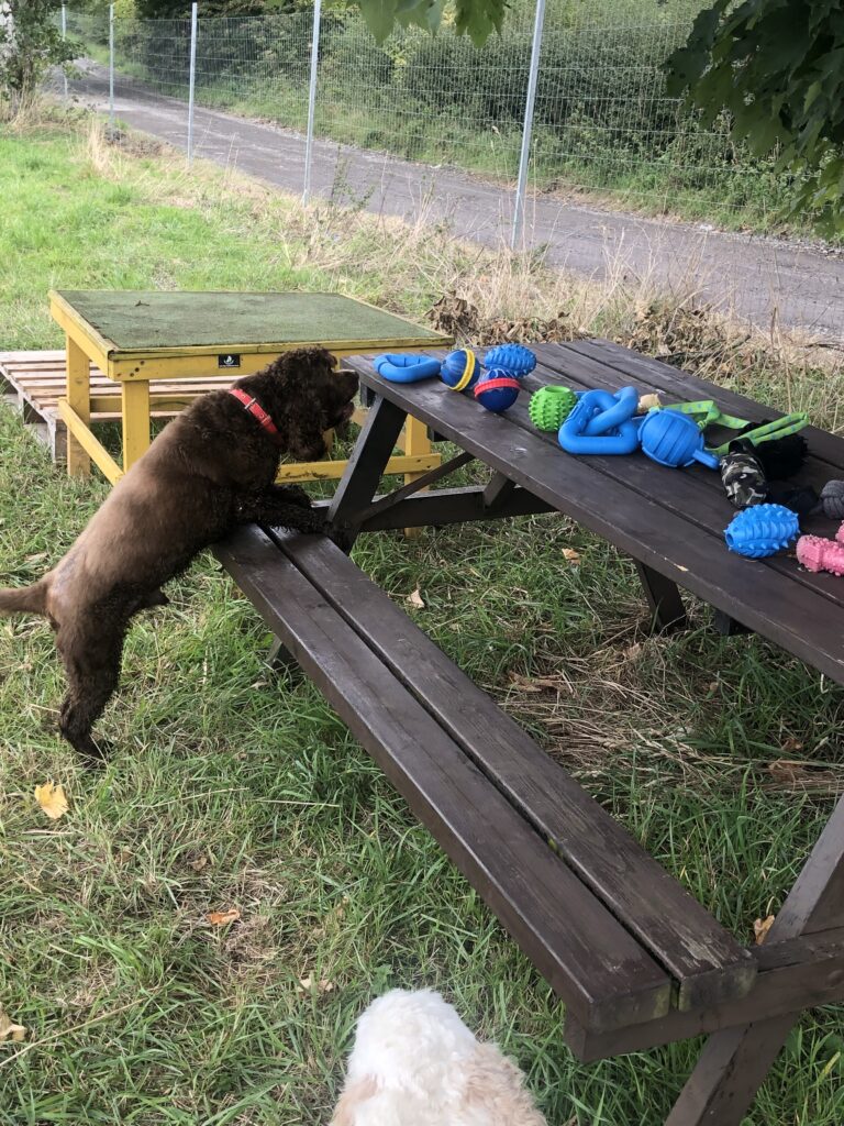 2145 a742f2a26fa6d546d8d6abb3e83c2d06 1 768x1024