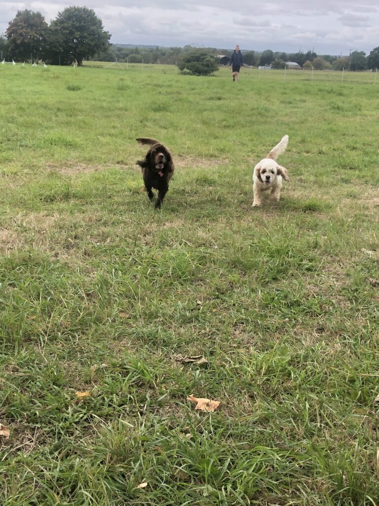 2145 cbe2b7b2ac4f0c826dab51468c1f0434 1 768x1024