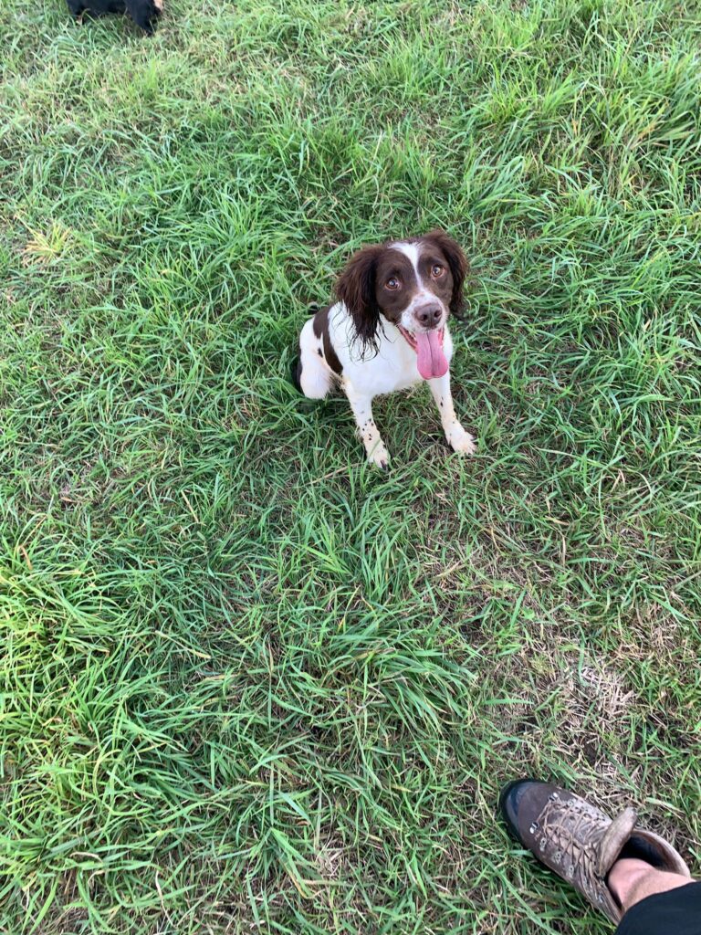 2145 d60aa8affbab4462805fdf1847af099c 1 768x1024