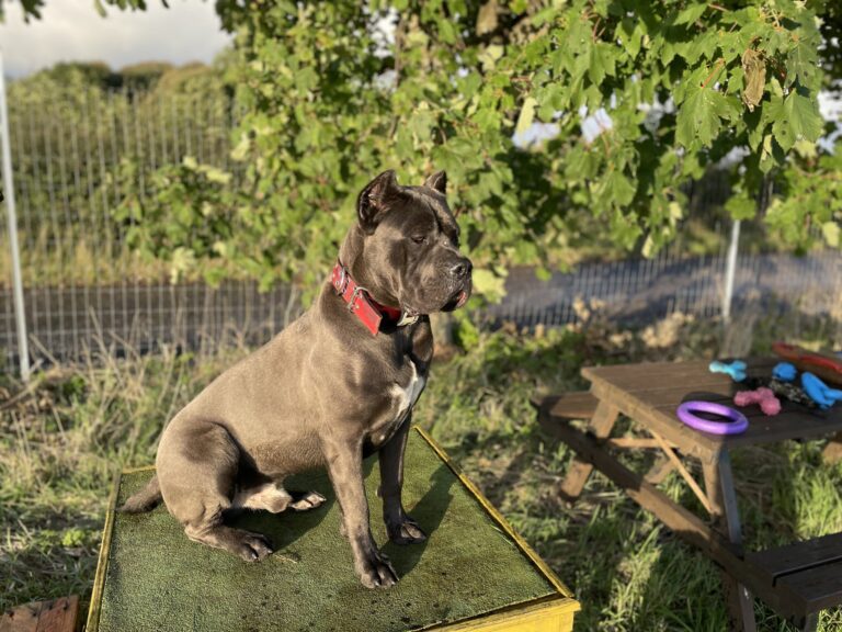 2145 d9d00c56da85305250cc3fea36d879f5 1 scaled 768x576