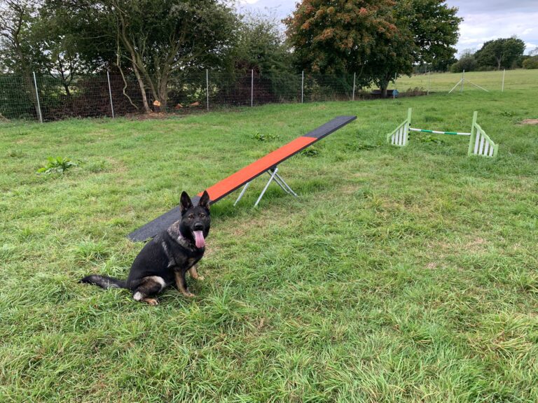 2145 e3bb9ffa7f2926c0e5d86d47b3bed3d2 1 768x576