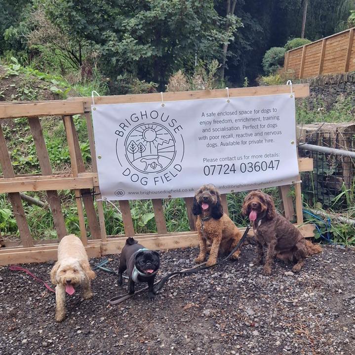 2148 2d2c2a60c994df1267db8cafb56d24fa 1