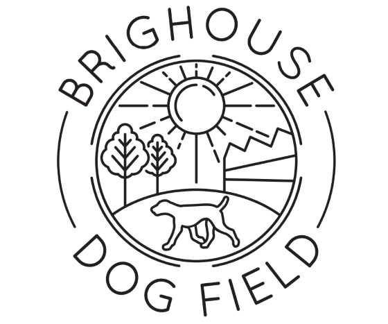 2148 6f9fa01e600e186f447f6a13a46e3186 1