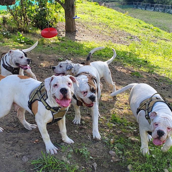 2148 d3cedc13eb2f74bae639a301e56d051a 1