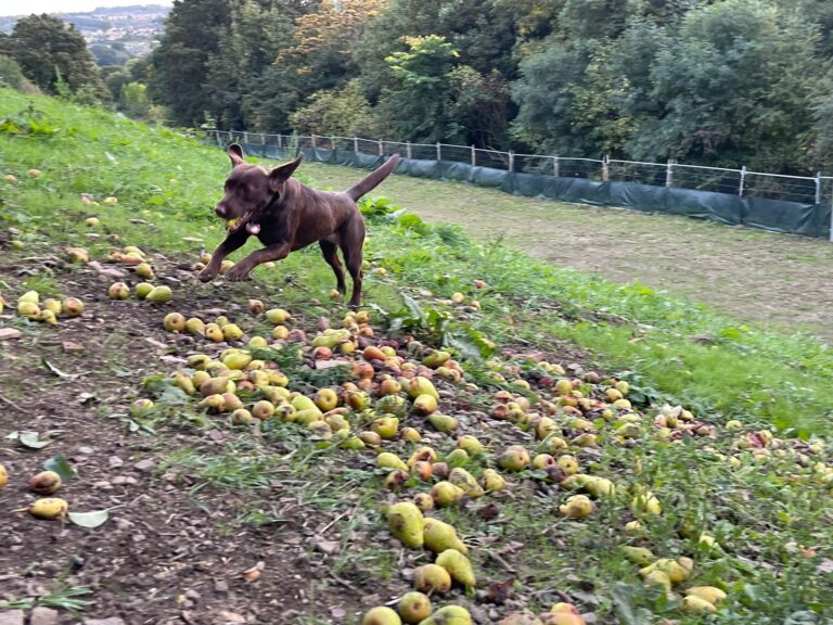 2148 d9334c34b776093faf18fccd4f206098 1 768x576