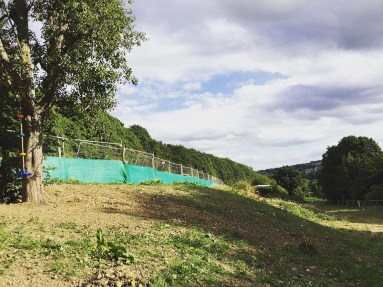 2148 fbf7128a2b467a0cf2bc4a38bfc2421c 1 768x576