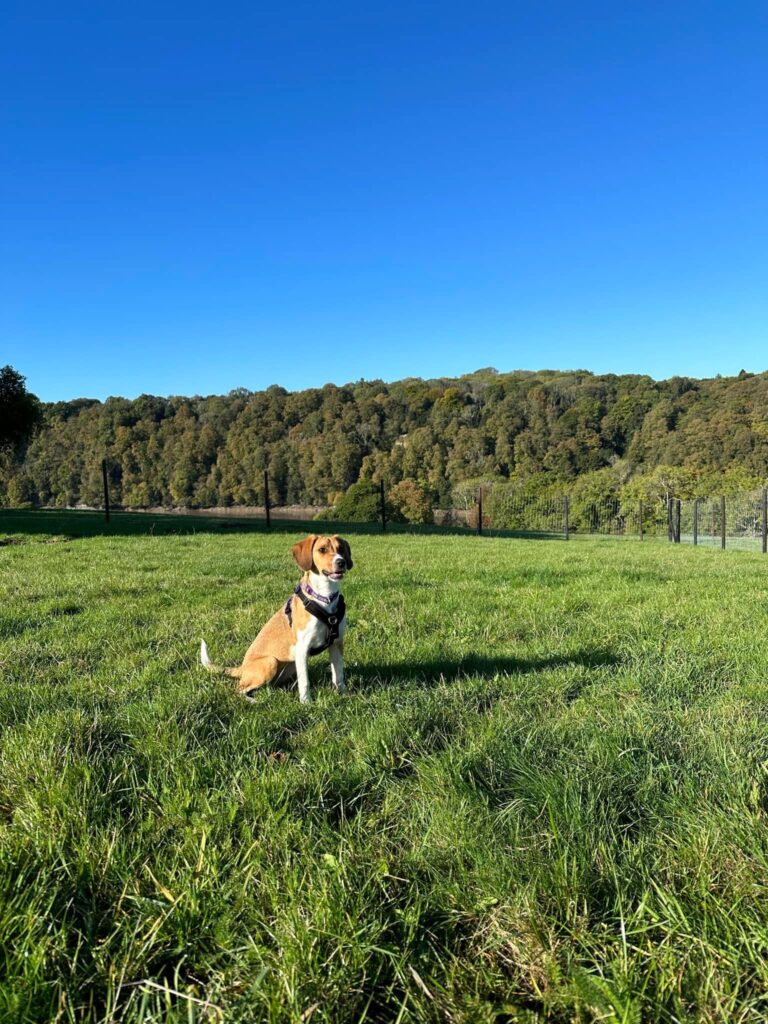 2149 6344ba87fd7d40950ce343de266b80f0 1 768x1024