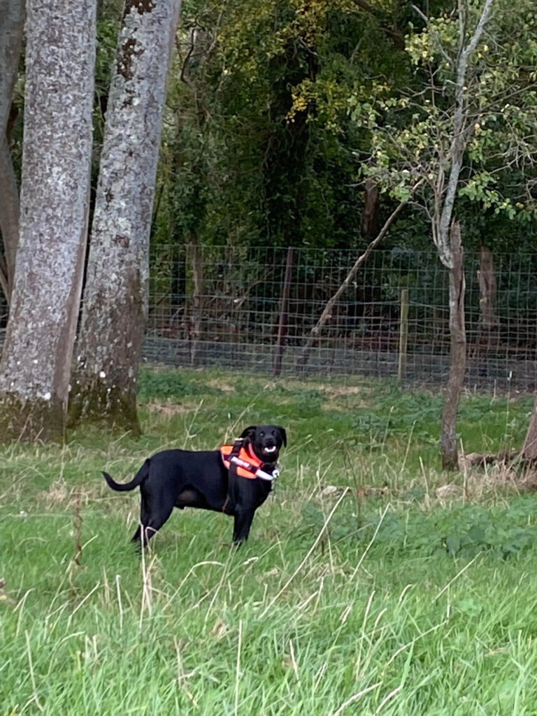 2149 b295a385b690e9dd848bdb417df9a196 1 768x1024