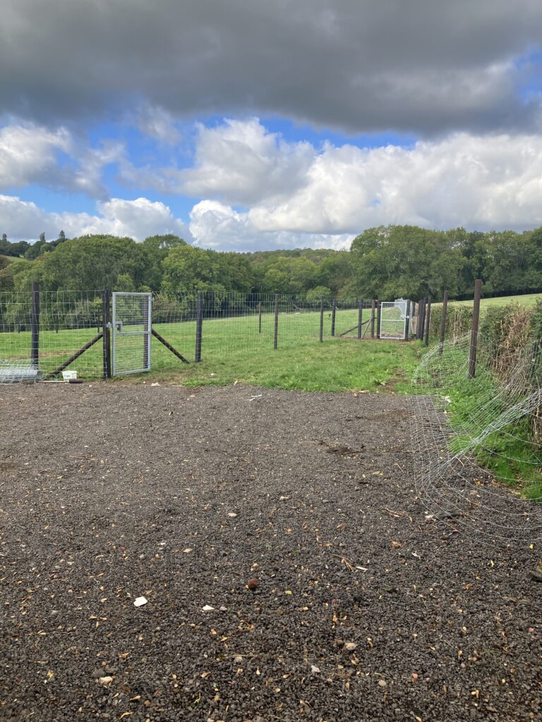 2149 b9b3cf89ad750801109e9a0e33fb9a19 1 768x1024