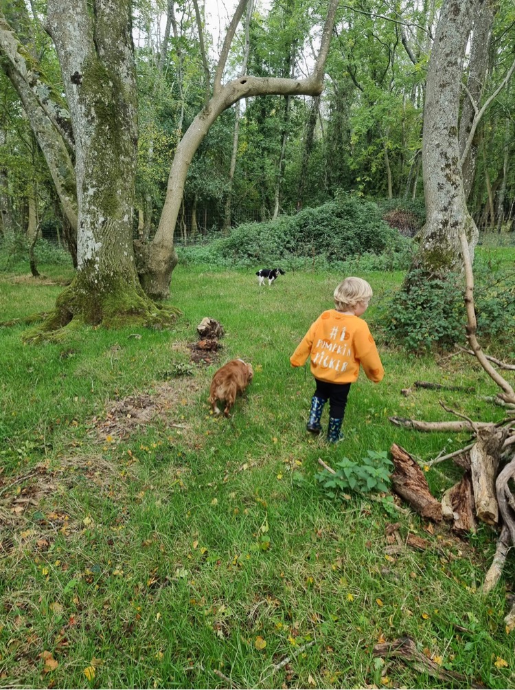 2149 b9bcdb27bd8219d8f201c461439c109b 1