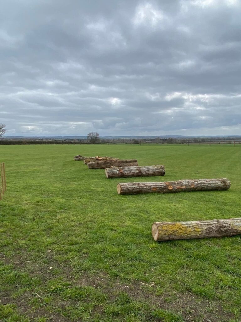 2151 00fe114e050de4453dbeb3ac57def171 1 768x1024