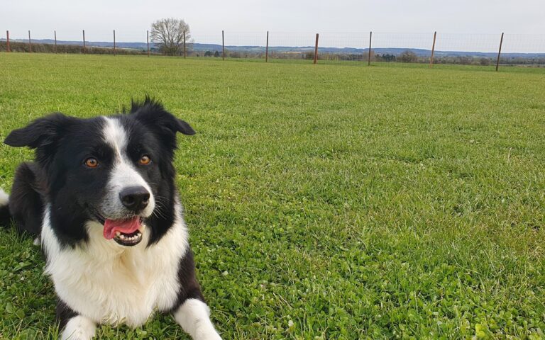 2151 34ab488db8459f95aa1378b9167d798c 1 768x480