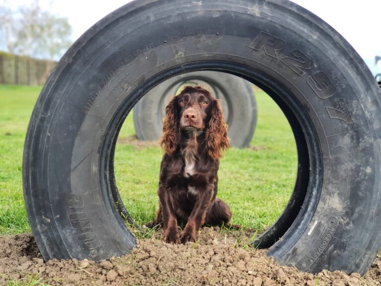 2151 7e86a5de45ad16c75c43d455826d227f 1 768x576