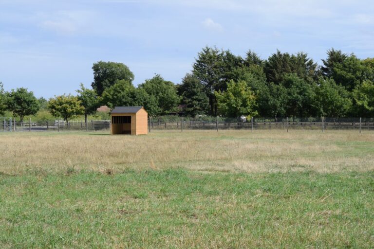 2158 7bb0bec19c97a824ae4c4793b5d31e17 1 768x512