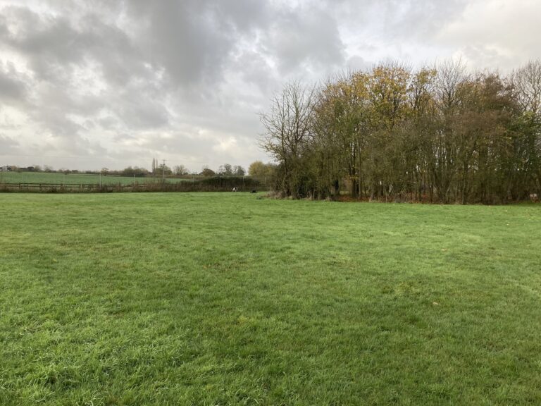 2160 4f377d80fab91593cb199548f699c11e 1 768x576