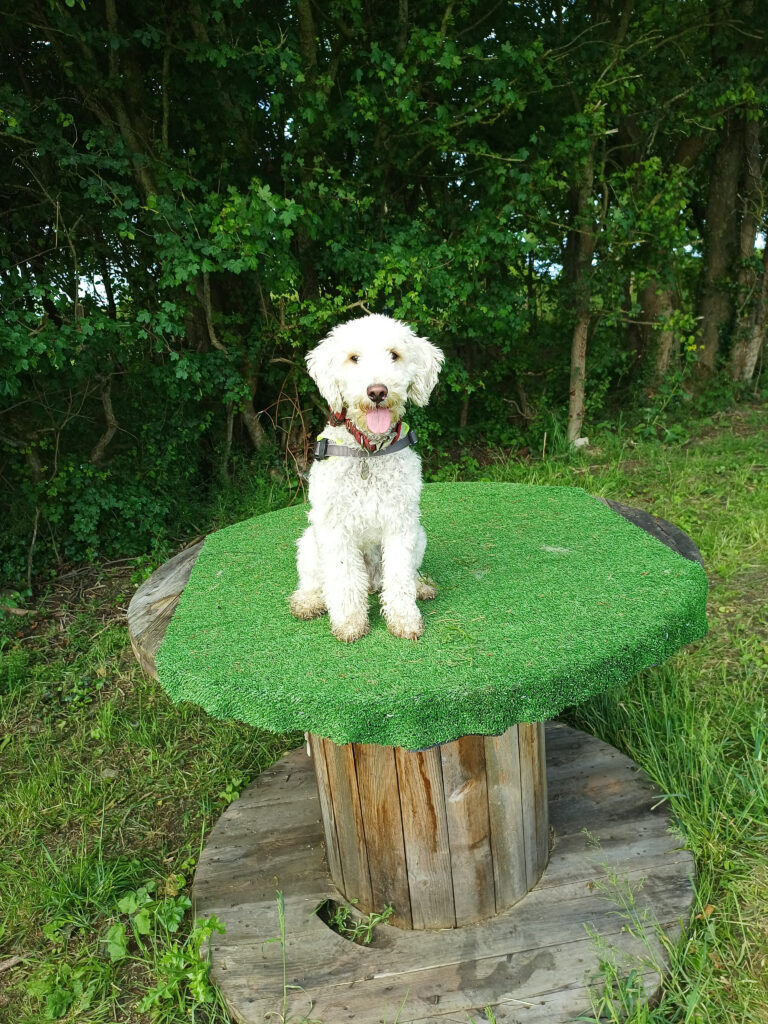 2160 6a84bfb2110e4ef76274d84adbc72409 1 768x1024