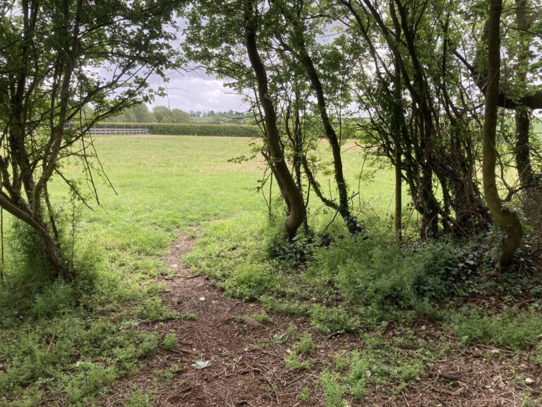 2160 6df52c3ea17c319f85f6ffca130b186f 1 scaled 768x576